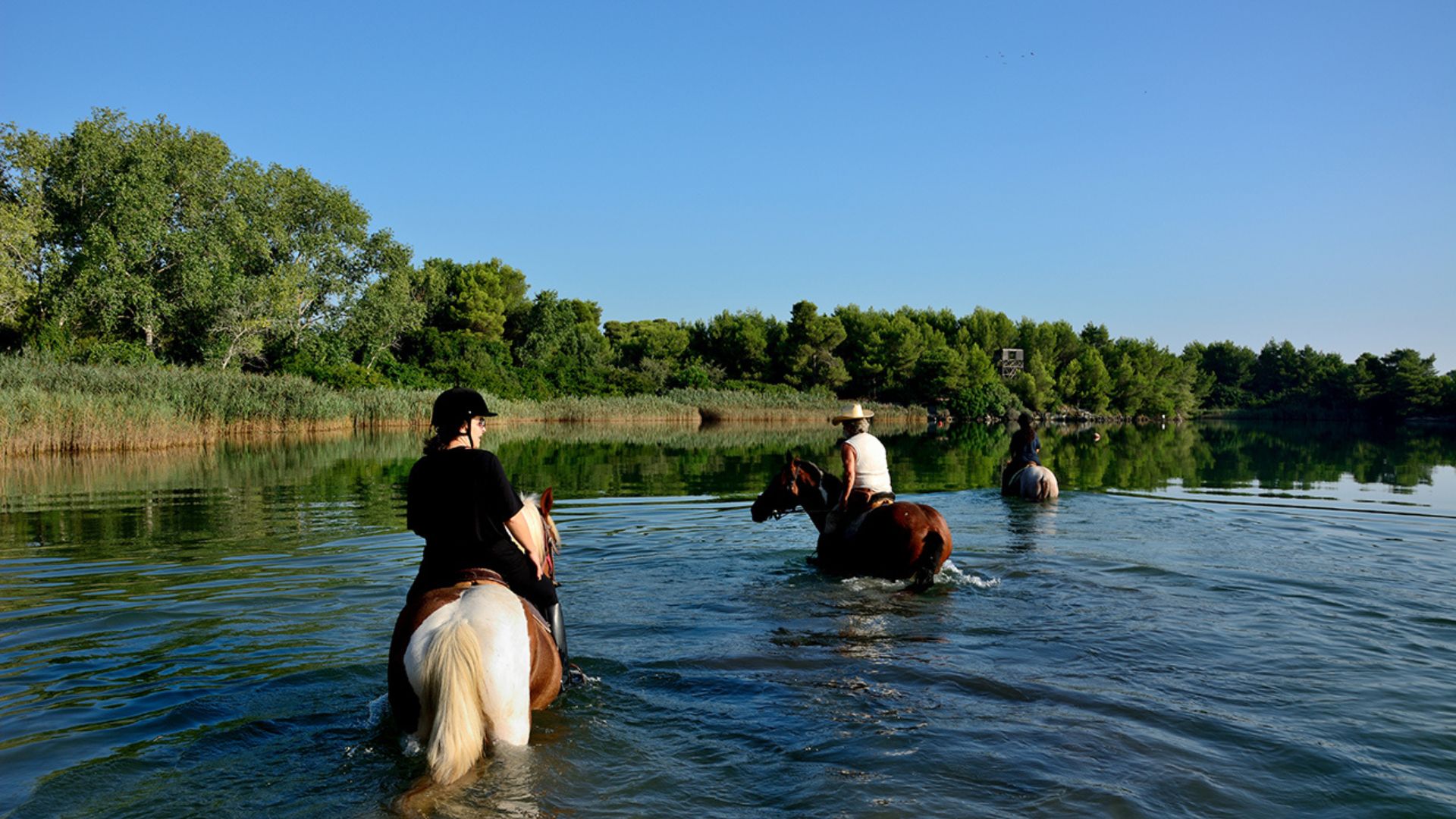 escursioni a cavallo Salento, laghi Alimini, esursioni, dove andare in vacanza 